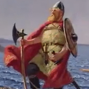 The Vikings
